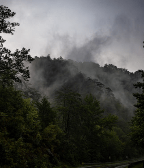 Foggy mountains surrounded by lush greenery, with a winding road visible in the foreground.