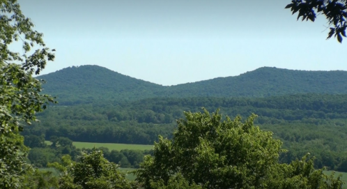 A scenic view of rolling green hills under a clear sky, framed by trees in the foreground.