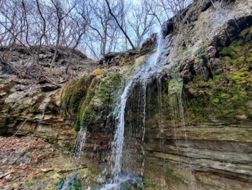 A small waterfall cascades down a moss-covered rock face in a wooded area, surrounded by bare trees.
