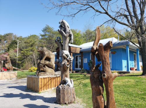 Wooden sculptures of animals in a park setting, with a blue building and trees in the background on a sunny day.