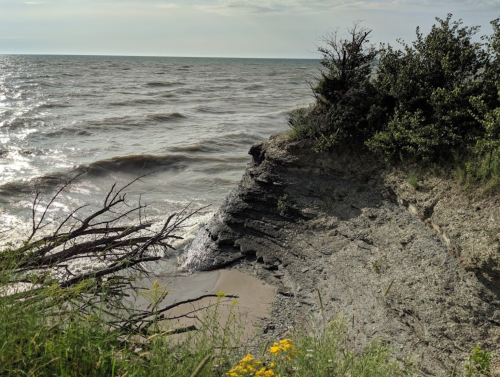 A rocky shoreline with waves lapping at the edge, surrounded by greenery and wildflowers under a cloudy sky.