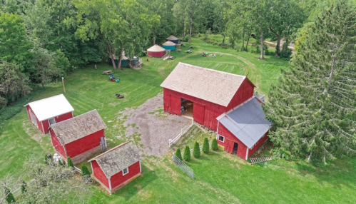 Aerial view of a red barn and several outbuildings surrounded by green grass and trees.