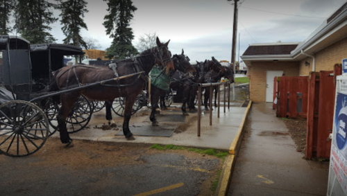 A line of horse-drawn carriages parked beside a building on a cloudy day.