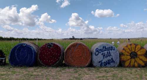 Colorfully painted hay bales resembling fruits and flowers, set against a blue sky and green fields.