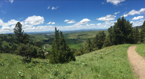 A panoramic view of lush green hills and valleys under a blue sky with fluffy clouds, framed by trees in the foreground.