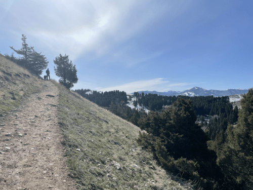 A hiker stands on a trail overlooking a mountainous landscape under a clear blue sky.