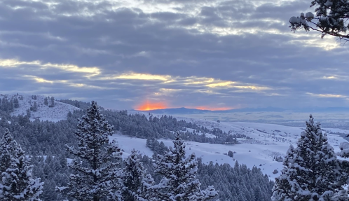 A snowy landscape with evergreen trees, featuring a sunset behind distant mountains under a cloudy sky.