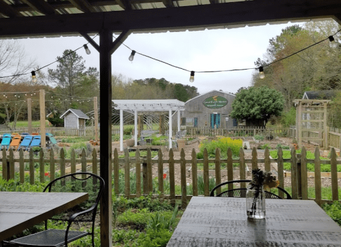 A view of a garden with raised beds, a wooden fence, and string lights, seen from a covered outdoor seating area.
