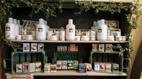 A display shelf filled with various skincare products and colorful boxes, surrounded by greenery.