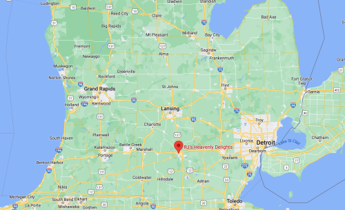 Map of Michigan highlighting the location of RJ's Heavenly Delights near Lansing and Detroit.