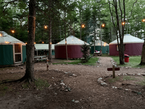 A campsite with yurts surrounded by trees, string lights, and a gravel path leading through the area.