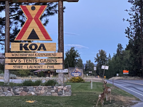 A KOA campground sign at dusk, with a deer grazing nearby and trees in the background along a quiet road.