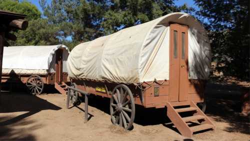 Two covered wagons with wooden wheels parked on dirt, surrounded by trees.