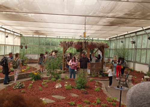A greenhouse filled with people exploring plants and flowers, featuring a wooden gazebo and lush greenery.