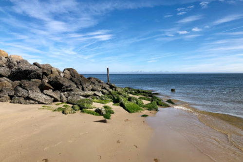A sandy beach with rocky formations and green seaweed, under a clear blue sky and calm ocean waves.