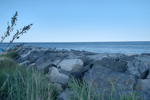A rocky shoreline with tall grass in the foreground and a calm sea under a clear blue sky.