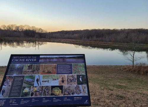 A sign about the Cache River wetlands in front of a calm water body and trees at sunset.