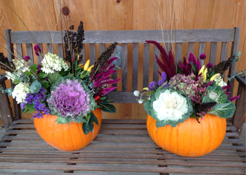 Two decorative pumpkin arrangements filled with colorful flowers, placed on a wooden bench against a wooden backdrop.