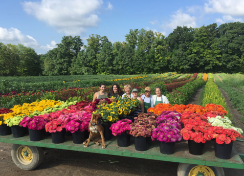 A group of six people and a dog sit on a cart filled with colorful flowers in a vibrant field.