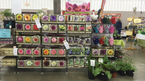 A display of colorful flower seed packets and gardening supplies at a market, with vibrant blooms and pots.