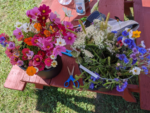 Two buckets of colorful flowers on a red picnic table, with scissors and gardening tools nearby.