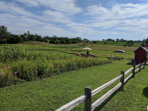 A scenic farm landscape with green fields, a wooden fence, and a small red shed under a blue sky with clouds.