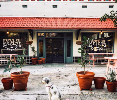 A dog stands in front of a charming general store with potted plants and a red-tiled roof.