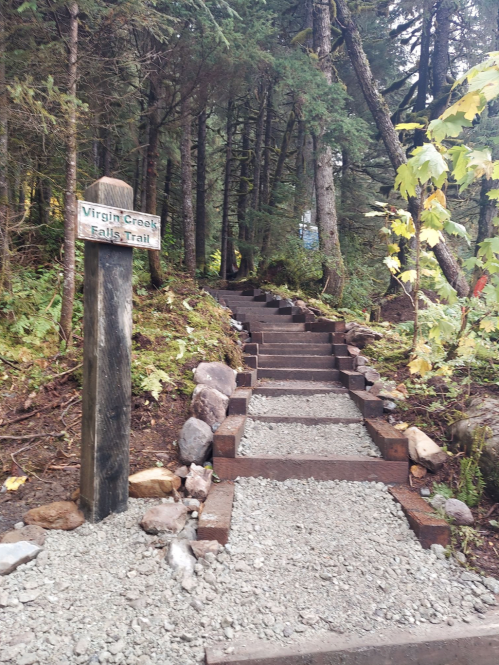 A wooden sign marks the start of Virgin Creek Falls Trail, with stone steps leading through a lush forest.