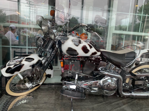 A motorcycle with a cow print design displayed in a glass window, reflecting the surroundings.