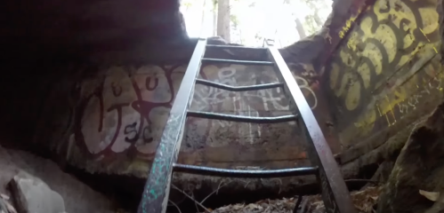 A metal ladder leads up from a dark, graffiti-covered underground space, surrounded by trees and foliage.