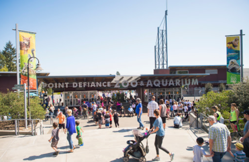 Crowd of visitors entering Point Defiance Zoo & Aquarium on a sunny day, with colorful banners displayed.