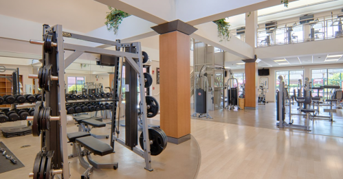 A spacious gym with weightlifting equipment, cardio machines, and large windows for natural light.