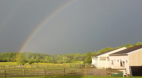 A vibrant rainbow arcs over a green field and farm buildings under a dark, cloudy sky.