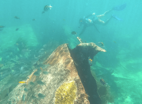 A diver explores an underwater scene with colorful fish around a large rock formation.