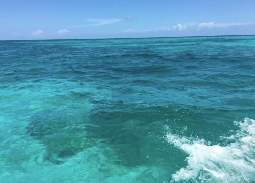 A vibrant turquoise ocean under a clear blue sky, with gentle waves and a few clouds in the distance.