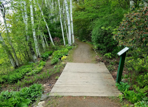 A wooden path leads through a lush green forest with trees and plants on either side. A sign is visible on the right.