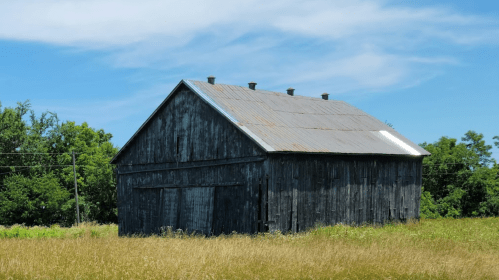A weathered black barn stands in a grassy field under a blue sky with scattered clouds.