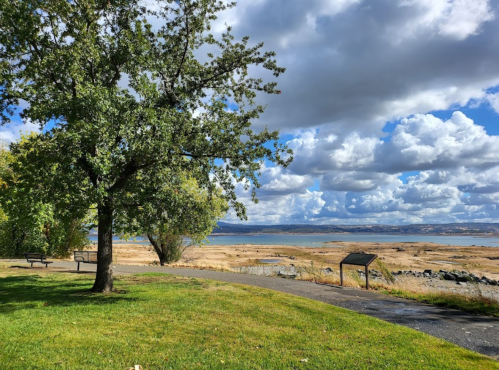 A scenic view of a park with a tree, benches, and a lake under a partly cloudy sky.