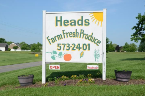 Sign for Heads Farm Fresh Produce, featuring a sun, vegetables, and contact number, with an "Open" banner.