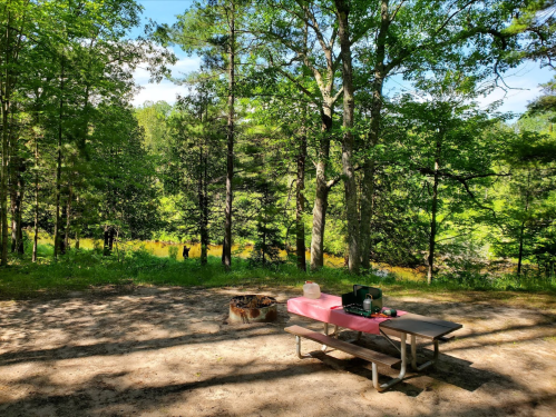 A serene campsite with a picnic table, cooking equipment, and a fire pit, surrounded by lush green trees and a peaceful view.