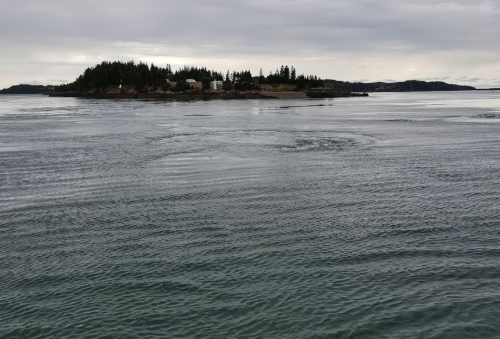 A calm body of water with gentle ripples, featuring a small island with trees in the background under a cloudy sky.