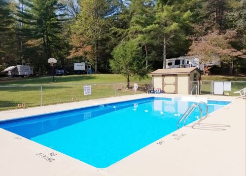 A clear blue swimming pool surrounded by trees, with a basketball hoop and a shed nearby. No diving signs are visible.