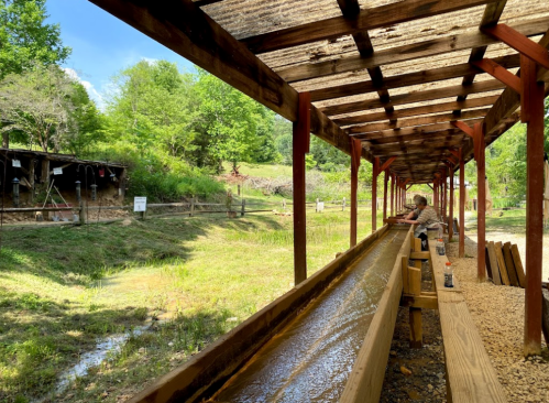 A wooden sluice with flowing water, surrounded by greenery and a person panning for gold under a shaded structure.