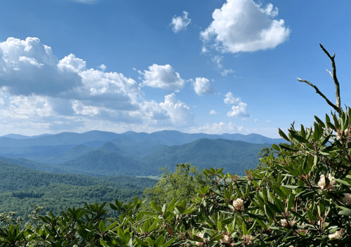 A scenic view of mountains under a blue sky with fluffy clouds, framed by lush greenery in the foreground.