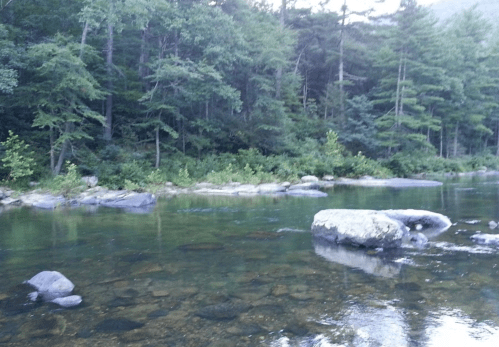 A serene river scene with clear water, smooth rocks, and lush green trees lining the banks.