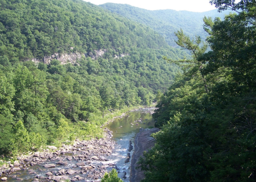 A serene river flows through a lush green valley, surrounded by mountains and dense trees under a clear blue sky.