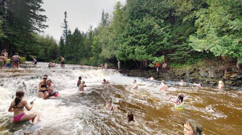 A group of people enjoying a sunny day swimming in a river with a waterfall, surrounded by lush green trees.