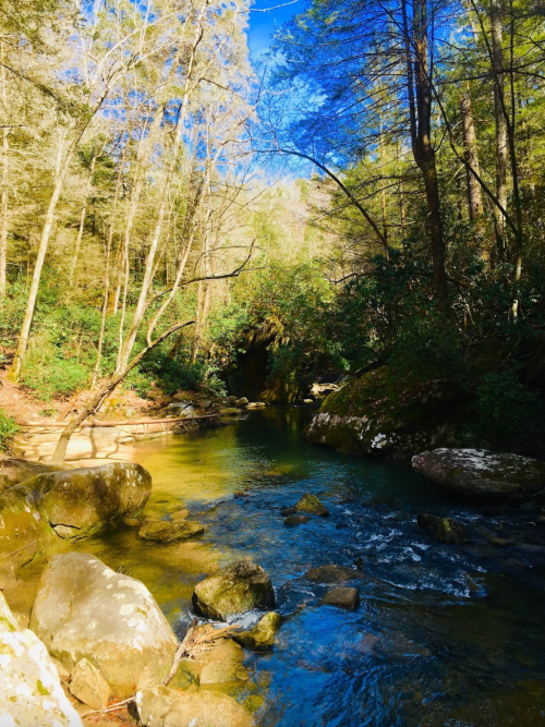 A serene river flows through a lush forest, with sunlight filtering through the trees and rocks lining the water's edge.