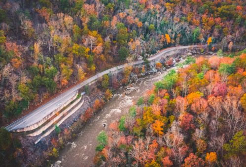 Aerial view of a winding road alongside a river, surrounded by vibrant autumn foliage in various colors.