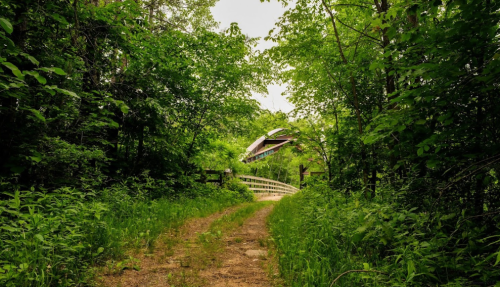 A winding dirt path leads through lush greenery to a wooden bridge in a serene forest setting.